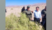 بازدید از پروژه‌های موفق بیابان‌زدایی، مدیریت رواناب و بذرپاشی در شهرستان آرادان