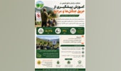 برگزاری بیش از ۴۹۱ دوره آموزشی پیشگیری از حریق جنگل‌ها و مراتع