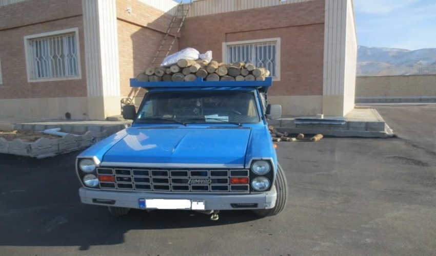 کشف محموله چوب صنوبر قاچاق در شهرستان میامی