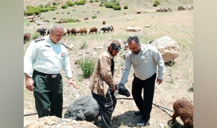 بررسی شکایات مربوط به مراتع کلور و درویش در شهرستان مهدیشهر در راستای صیانت از منابع طبیعی و رسیدگی به مطالبات و گزارش‌های مردمی