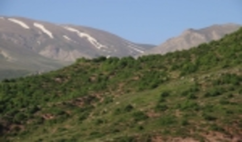 عملیات بیابان زدایی در اراضی بیابانی استان سمنان اجرا خواهد شد