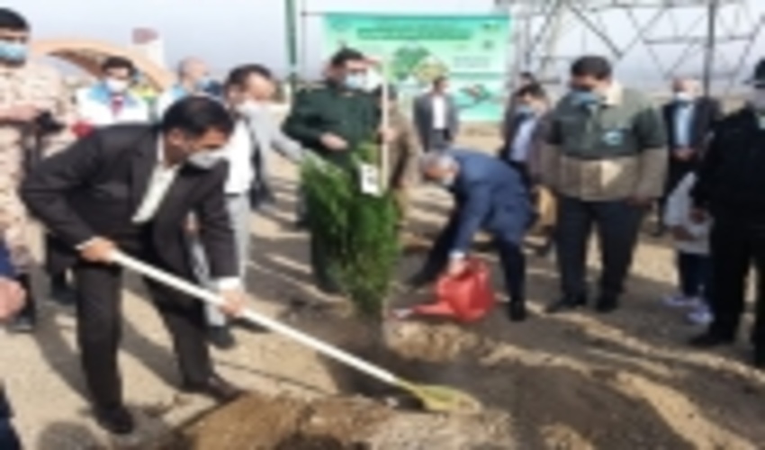 غرس" نهال ایثار" به یاد شهدا به مناسبت هفته منابع طبیعی وآبخیزداری