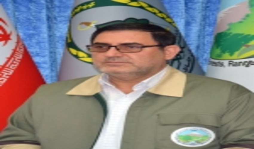 توزیع ۶۰۰ هزار نهال در استان سمنان به مناسبت هفته منابع طبیعی 