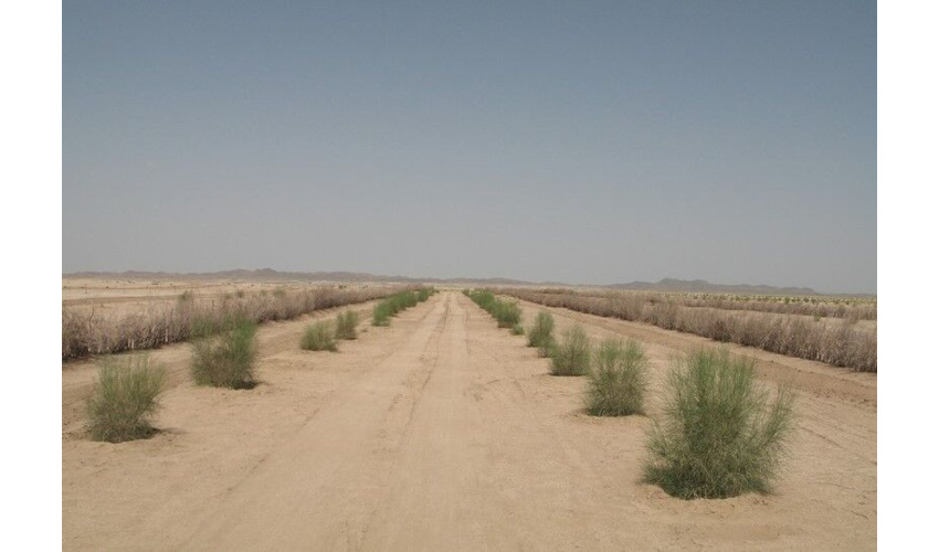 عبور از خشکسالی با مشارکت همگانی