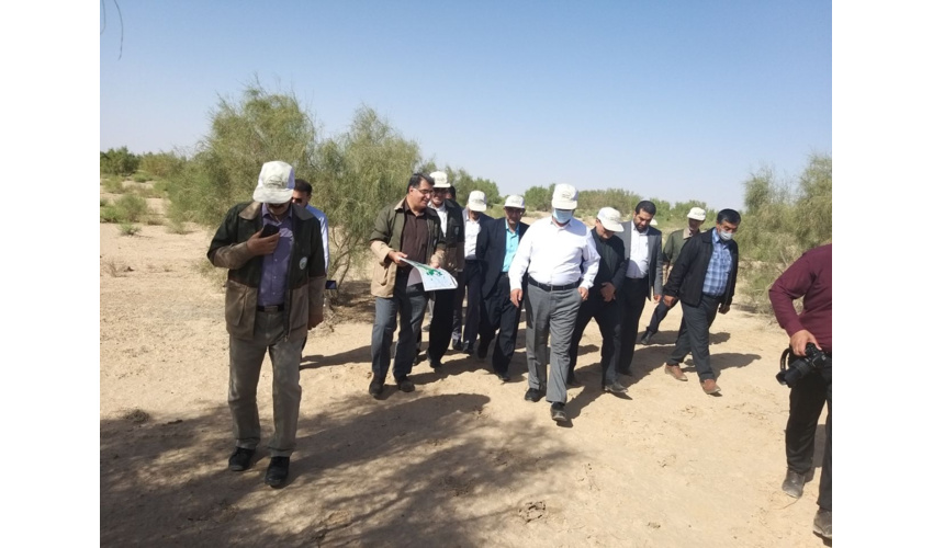 ۱۱۳هزار هکتار اراضی استان سمنان تحت کشت تاغ قرار گرفت 