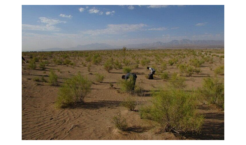 ۵۳۵ هزار هکتار کانون فرسایش بادی استان سمنان سالانه ۳۲۰ میلیارد ریال خسارت دارد