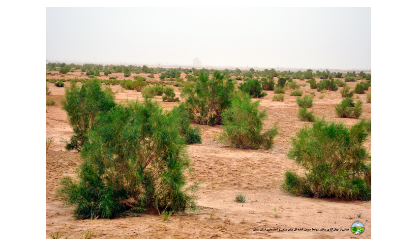 اجرای طرح های مقابله با بیابان در ۳۰۰ هزار هکتار از اراضی کشور 