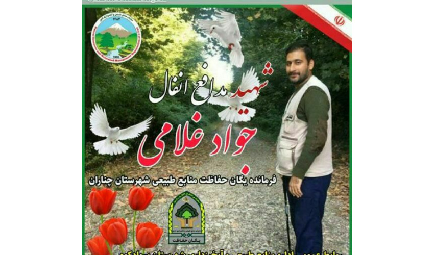 پیام تسلیت جعفر مرادی حقیقی 