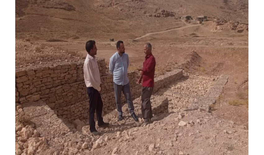 مدیر کل دفتر امور مراتع: گیاهان دارویی از جمله ظرفیت‌های مغفول کشور است