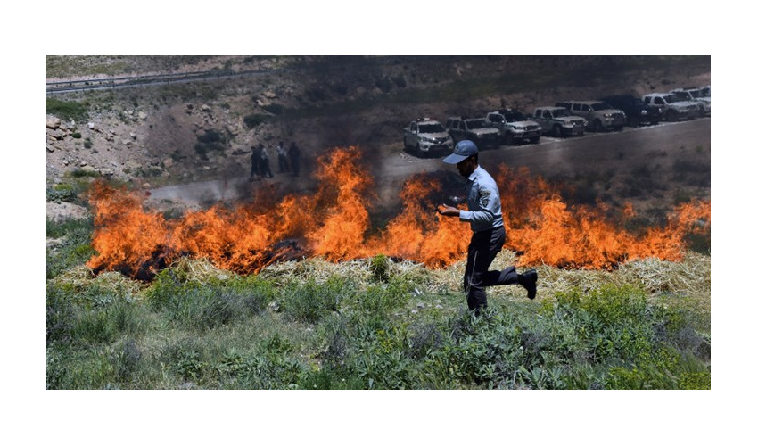  منطقه تم کوه جنگلی مرز استان سمنان و مازندران در آتش می سوزد