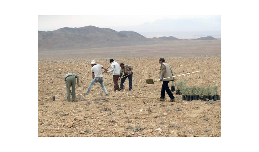 برگزاری ششمین دوره جشنواره ملی روز جنگلبان