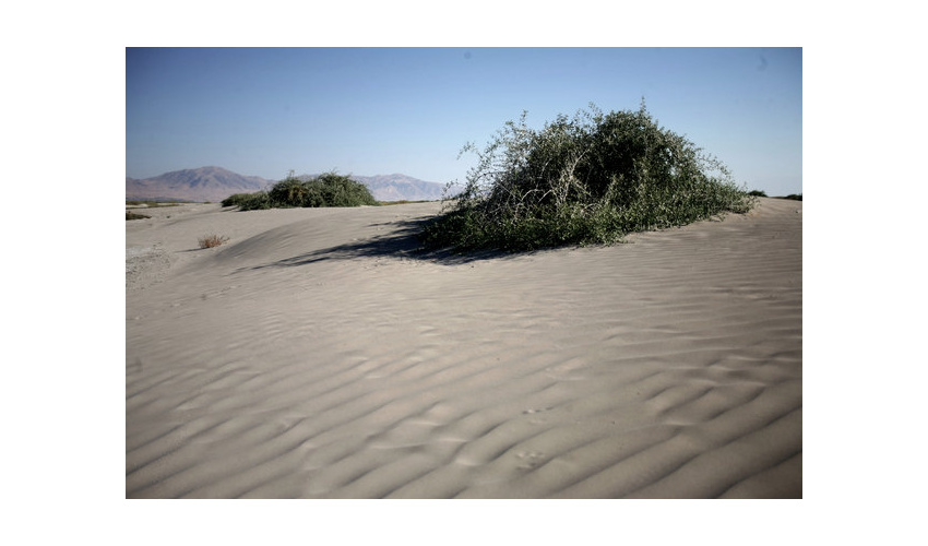 تخریب طبیعت برای سودجویی/ شکل‌گیری کانون‌های فرسایش در شاهرود