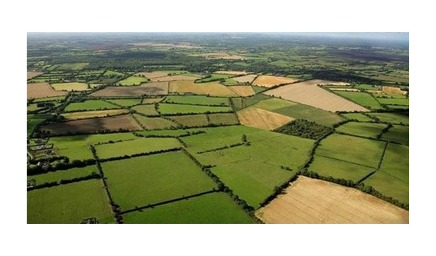 99 درصد اراضی ملی سمنان سند دریافت کردند 