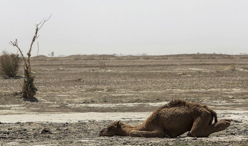 معرفی حوزه آبخیز بهورد شهرستان گرمسار