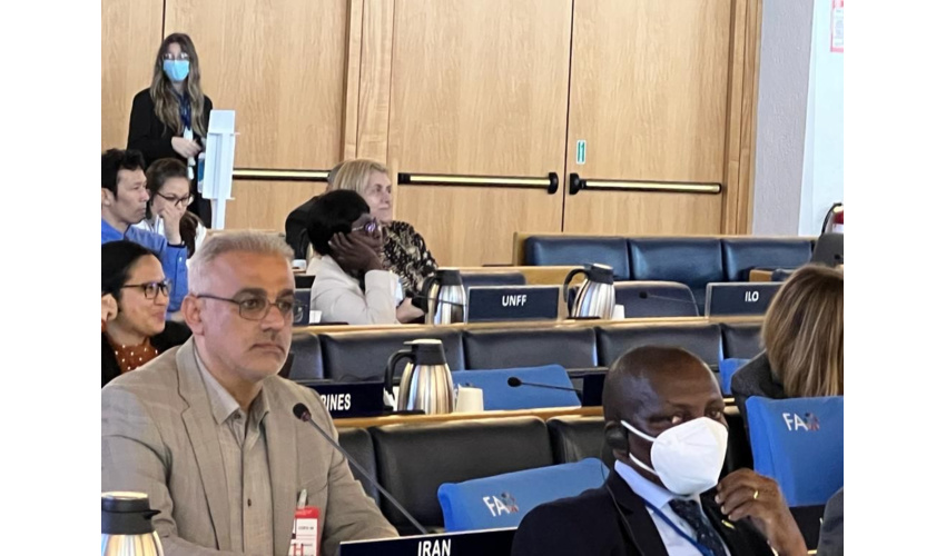 برگزاری اجلاس کمیته جنگلداری فائو با حضور نمایندگان ایران