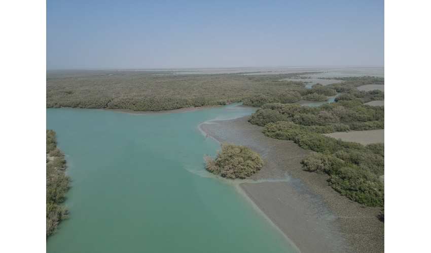 سودجویان ۱.۵ میلیارد تومان به منابع طبیعی شهرستان شاهرود خسارت زدند 