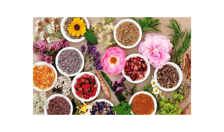 پایان همایش ملی گیاهان دارویی درشهرستان دامغان 