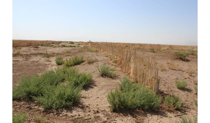 بیابانزدایی گامی در جهت نیل به پدافند غیرعامل