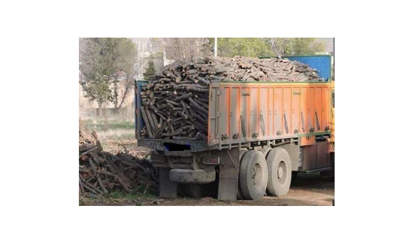 کشف ۲ تن چوب قاچاق تاغ درشهر ایوانکی