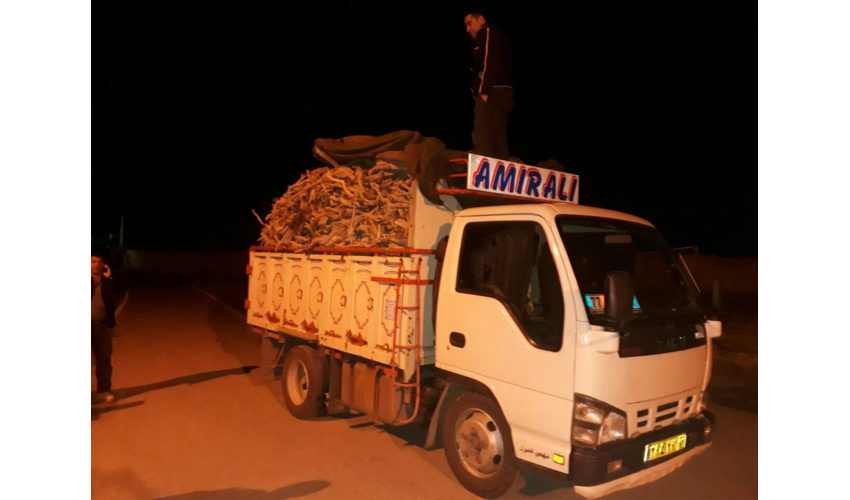کشف ۴ تن چوب قاچاق در طرود شهرستان شاهرود 