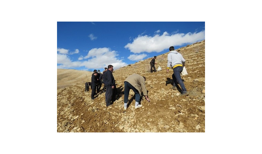 ۲۷۰ سامانه قشلاقی شاهرود دارای طرح مرتع‌داری است 