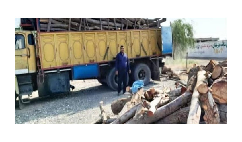 انهدام باند چوب‌های قاچاق در شهرستان شاهرود 