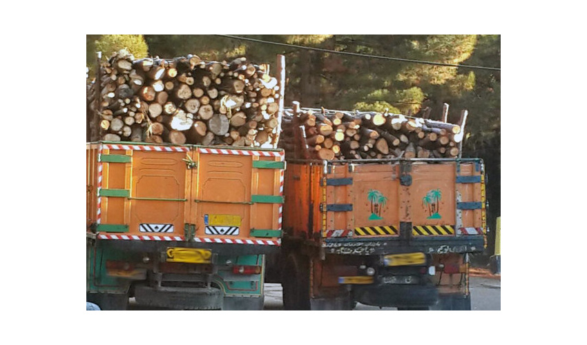 کشف ۶ تن چوب قاچاق در شاهرود/۴ تبعه خارجی دستگیر شدند