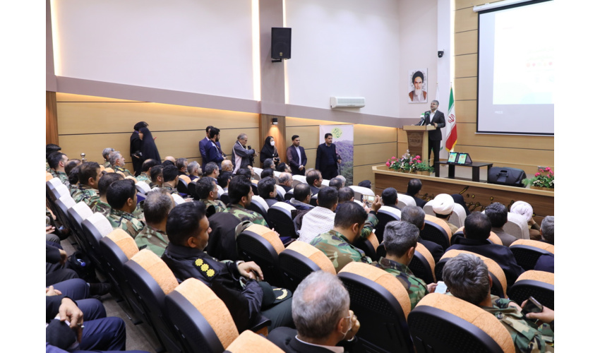 از سال آینده کاشت 250 میلیون اصله نهال در سال آغاز می شود/ افزایش ظرفیت نهالستان های کشور تا 400 میلیون اصله نهال