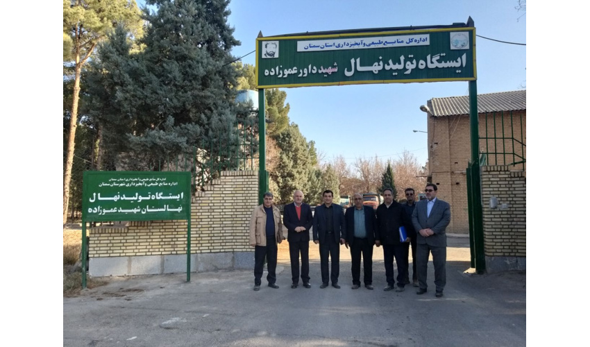 معاون سازمان جنگل‌ها: کشت گونه‌های گیاهی اثرگذار در برابر ریزگردها توسعه یابد