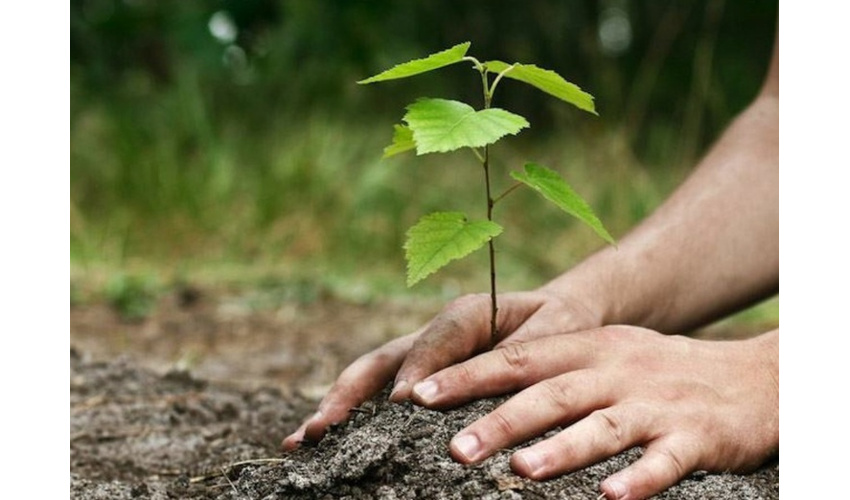 ۸۶ کیلومتر پروژه کمربند حفاظتی در استان سمنان احداث شده است