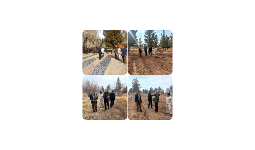 تاکید رئیس جمهور بر اجرای موفقیت آمیز پویش مردمی کاشت یک میلیارد درخت