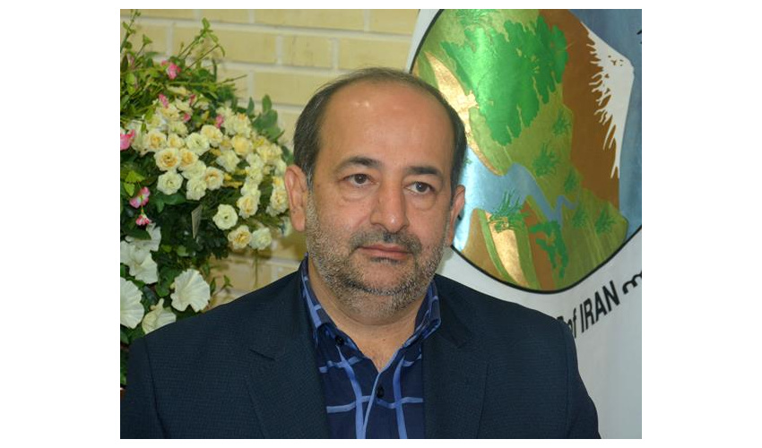 آسیب پروانه سفید به 41.5 هزار هکتار از جنگل های زاگرس / محلول بیولوژیک BT خطر بسیار کمی دارد 