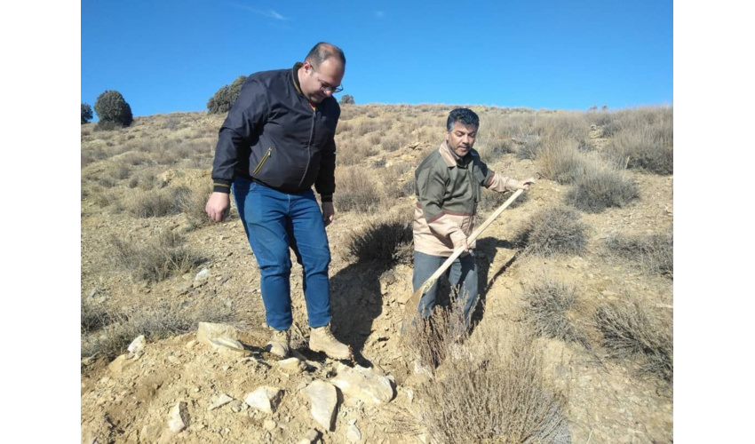 بذرپاشی ۴۴۰ هکتار از مراتع شهرستان  دامغان آغاز شد 