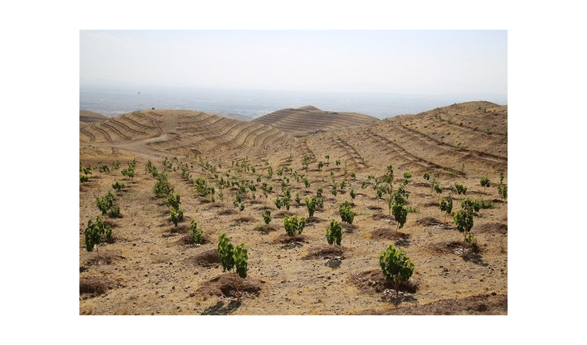 58 پلاک از اراضی ملی و غیر ملی شهرستان آرادان رفع تداخل شد.