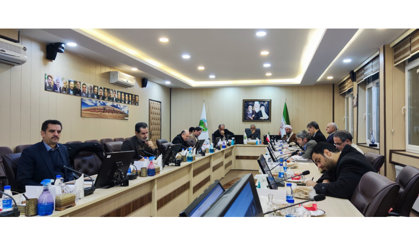 تاکید رییس سازمان منابع طبیعی بر همگرایی بخش تحقیقات و اجرا در کاشت درخت
