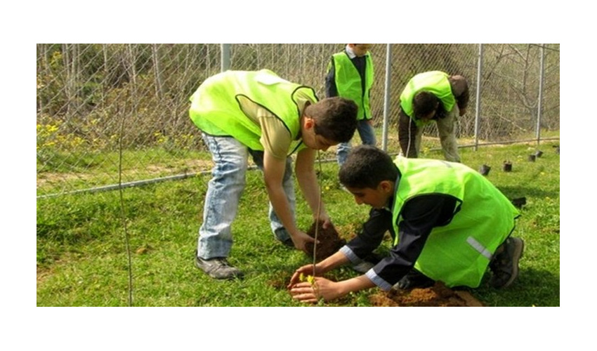 تولید درخت به عنوان یک اقدام اجتماعی و مردمی از کارهای منابع طبیعی است