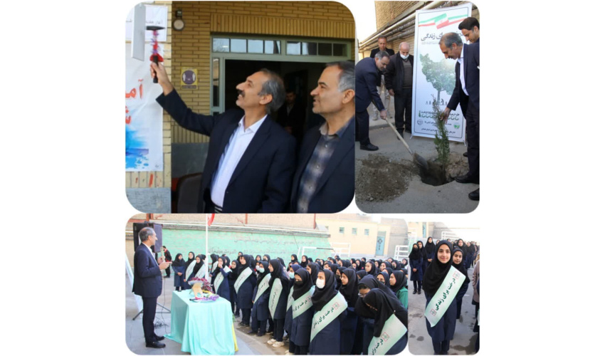 لزوم برخورد جدی با قطع تاغ در میامی/ دستگاه قضایی ورود کند