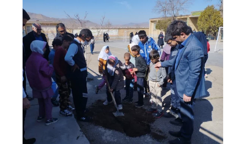 کاشت ۲۵۰ میلیون اصله نهال در سال ۱۴۰۲ / برای نگهداشت درختان به مشارکت مردم نیاز داریم