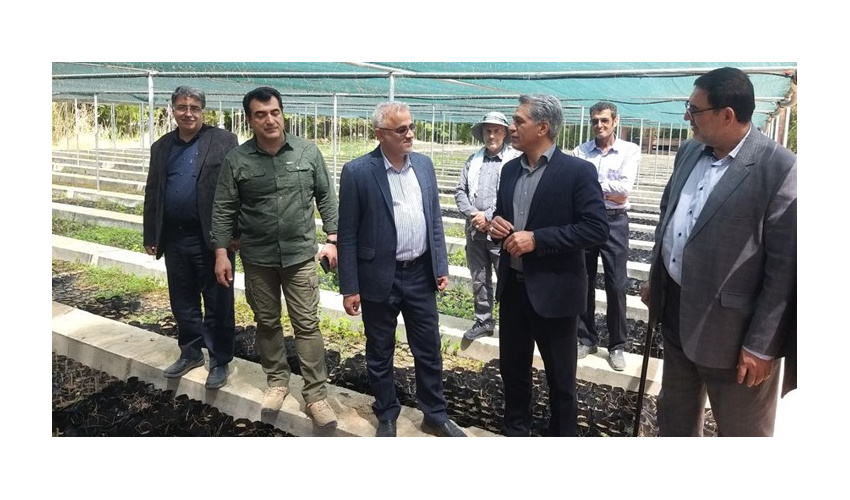 وجود ۱۴.۳ میلیون هکتار جنگل در کشور/ چاره‌ای جز کاشت درخت نداریم