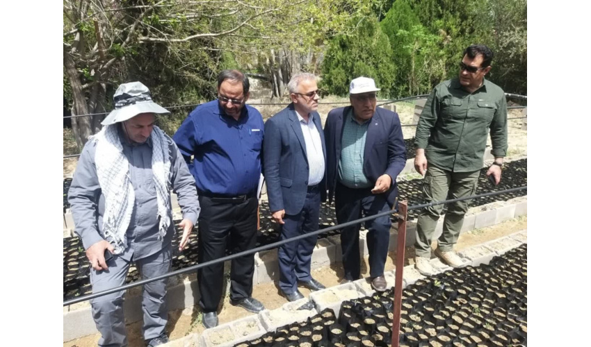 تعادل بخشی بین تولید و جذب کربن از اهداف کاشت یک میلیارد نهال است 