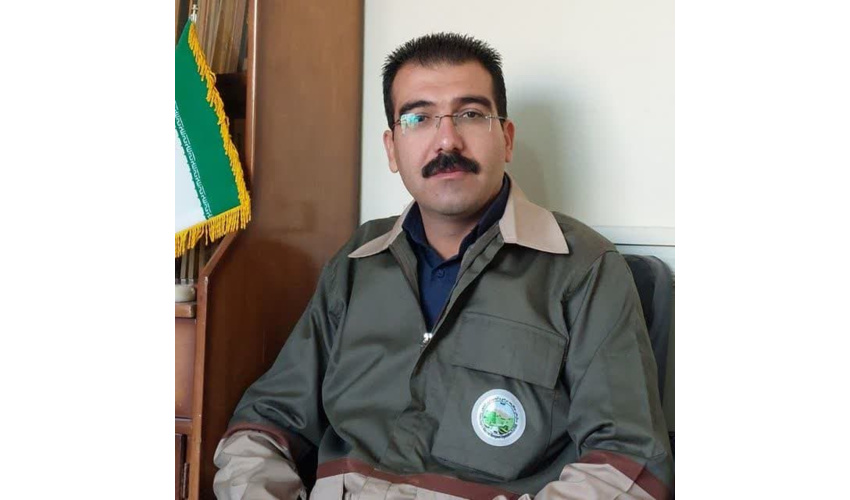 هجوم آفت ملخ به تاغزارهای شهرستان شاهرود/ ۲۰۰ هکتار پاکسازی شد