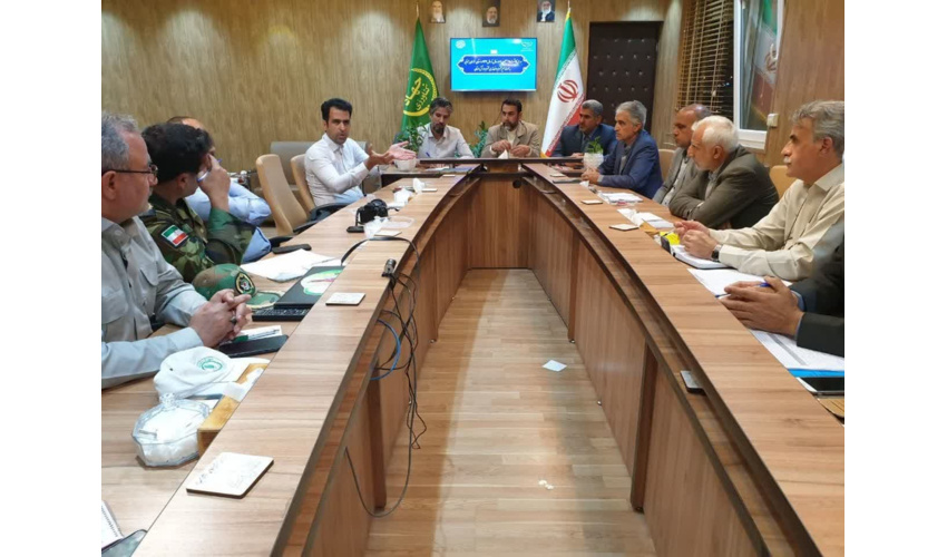 تولید ۱۱۰ هزار اصله نهال در شهرستان دامغان