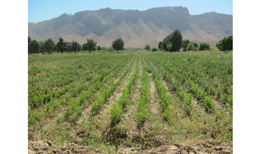 برگزاری جلسه طرح مردمی کاشت یک میلیارد درخت در منابع طبیعی 