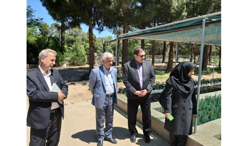 طرح کاشت یک میلیارد درخت نیاز ۱.۵ میلیون هکتار جنگل در کشور را تامین می‌کند