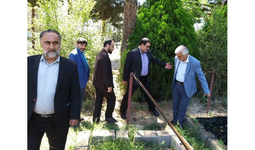 طغیان بیماری انگلی درختان ارس با راهکارهای مکانیکی مهار شود