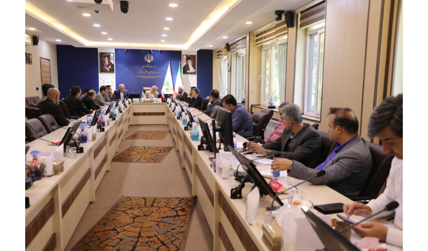 حفاظت از جنگل ها؛ مهمترین اولویت سازمان منابع طبیعی