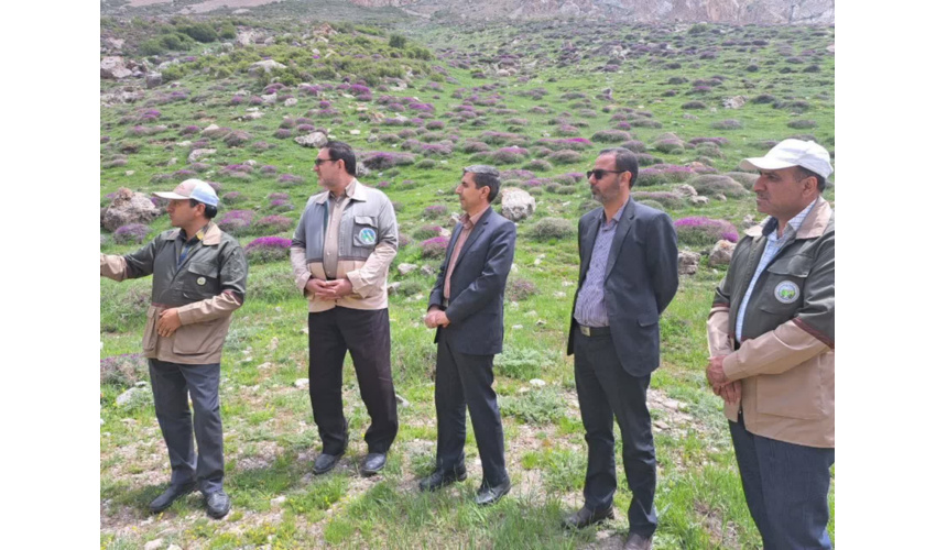 ظرفیت‌های قانونی برای اجرای پروژه‌های آبخیزداری به کار گرفته شود 