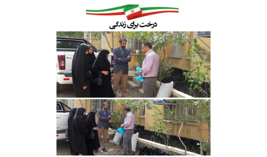  افزایش ۷۰ درصدی تولید گونه‌های جنگلی و بومی در نهالستان‌ها/ استخراج ۷۵ شاخص برای استانداردسازی نهالستان‌های جنگلی