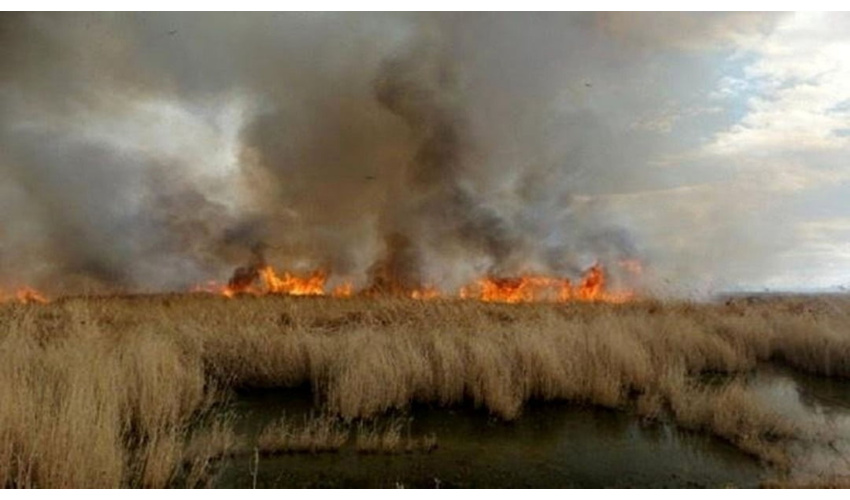 ما سربازان امنیت زیستی کشور هستیم