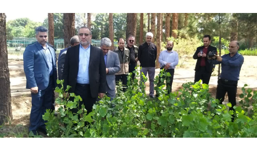 تا کنون بیش از 133 هزار هکتار نهال کاری تاغ که در حوزه کم آبی مقاوم هست کاشت نمودیم